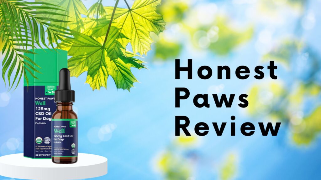 Honest Paws Review